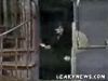Thumb_dan-letterman 10